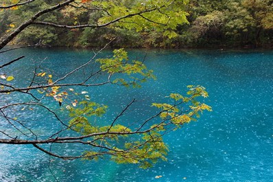 Autumn in China