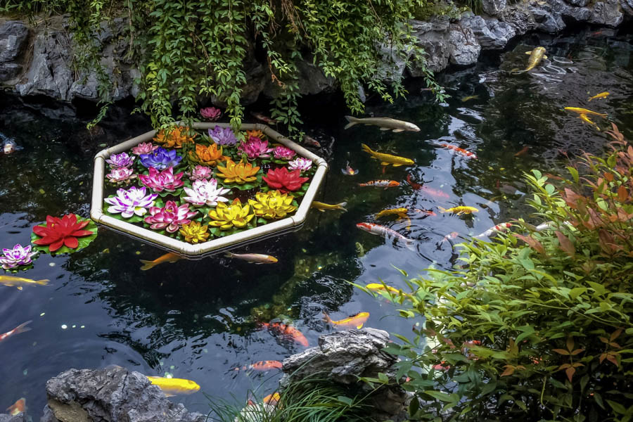 Chinese Symbols of Good Fortune and Prosperity: Lotus + Fish Chinese Symbols of Good Fortune and Prosperity: Lotus + Fish