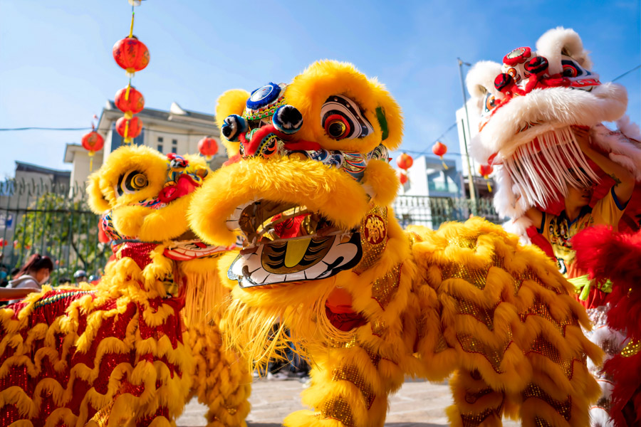Lion Dance Lion Dance