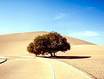 Landscapes of Dunhuang desert