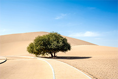 The famous oasis in the Gobi Desert, Dunhuang