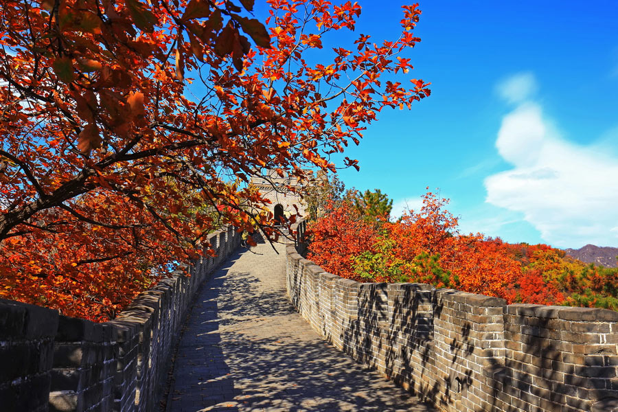 Great Wall of China in Autumn