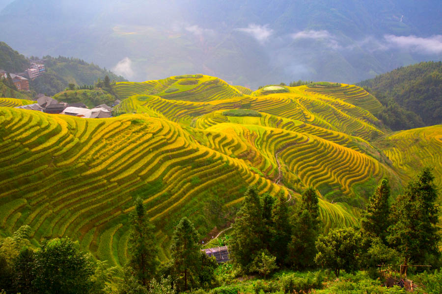 Longsheng Rice Terraces – China, Travel