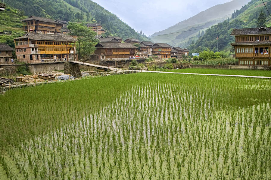 Huangluo Yao Village 