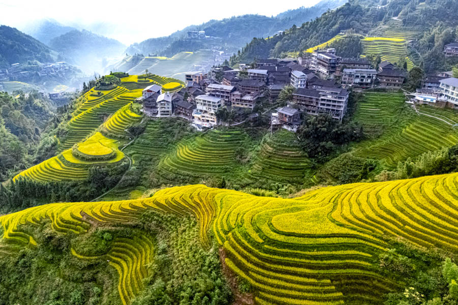 Construction and Agriculture of Longsheng Rice Terraces