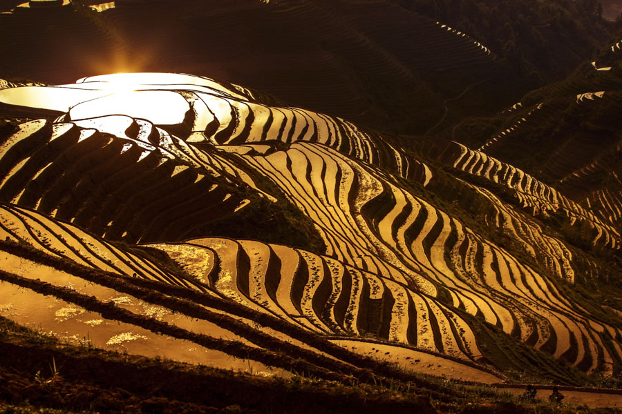 Longsheng Rice Terraces at Sunset