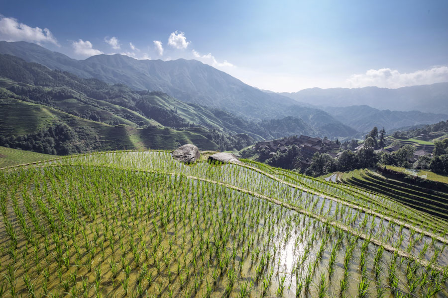 Longsheng Rice Terraces, China
