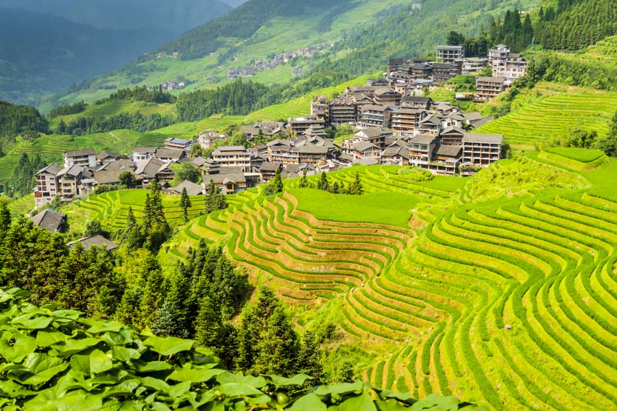 Zhuang Village, Longsheng Rice Terraces Zhuang Village, Longsheng Rice Terraces