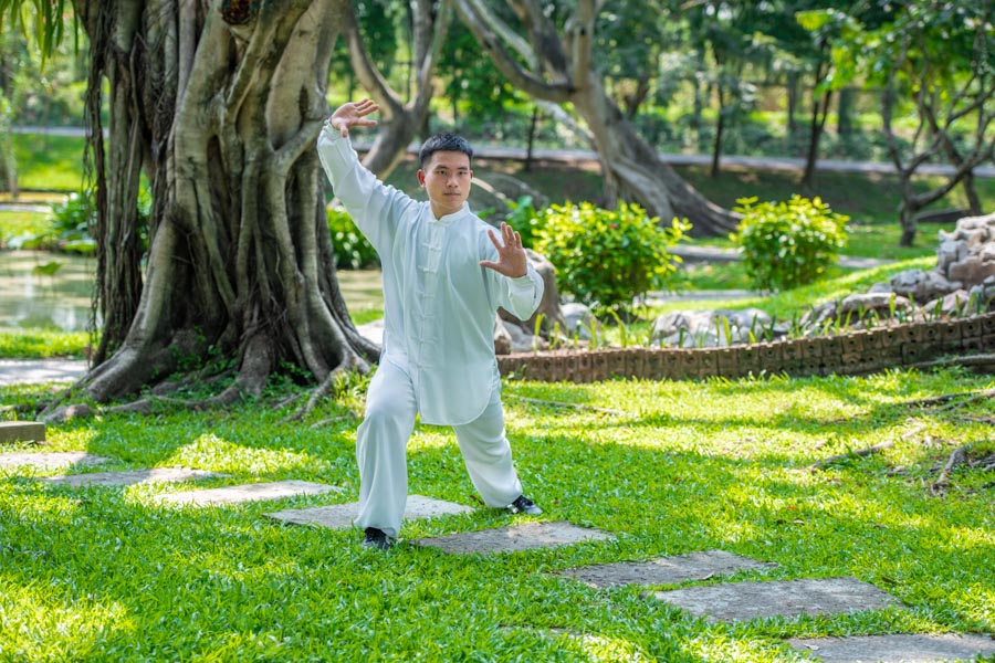 Tai Chi Chuan in a Garden