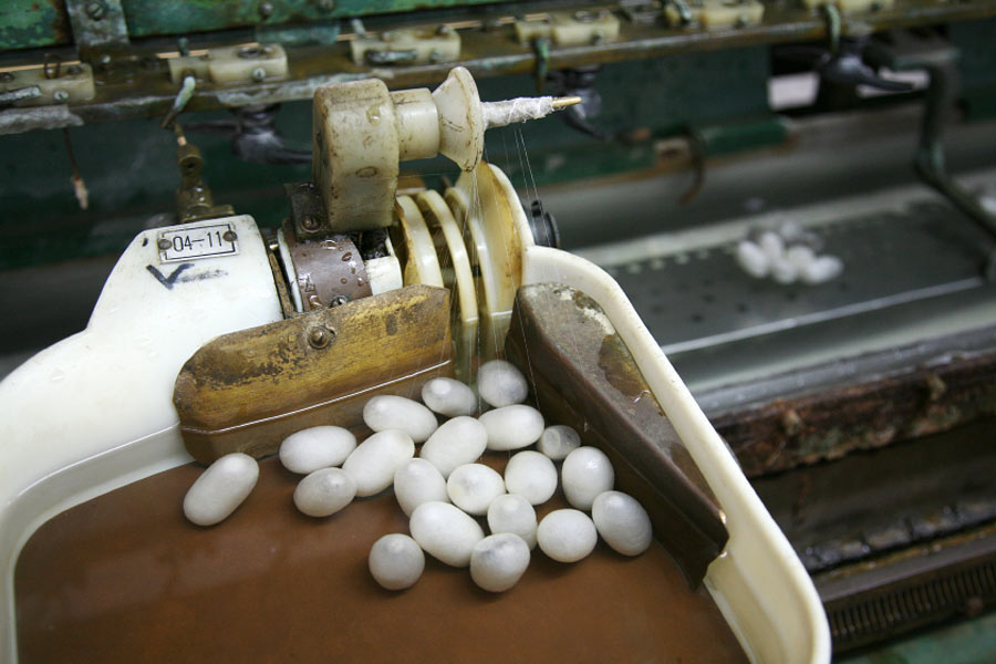Sericulture in China