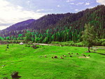 Southern Pastures of Urumqi