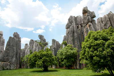 Stone Forest, Shilin