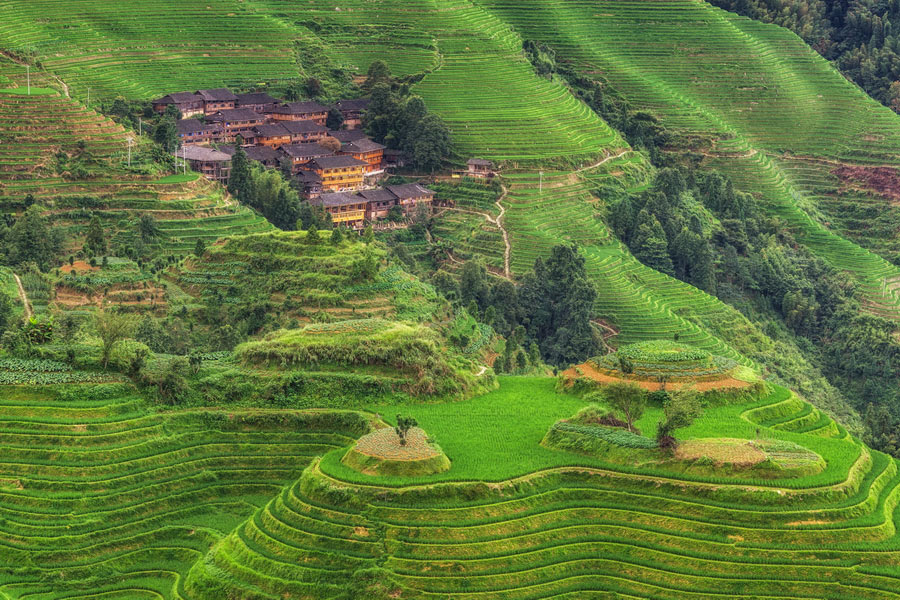 Terrace Fields, Longsheng