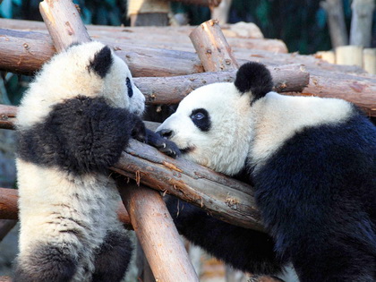 Central China Discovery Tour