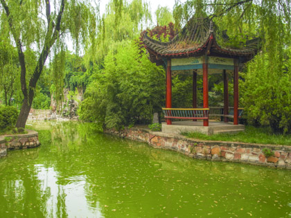 7-day Henan Heritage and Nature Tour