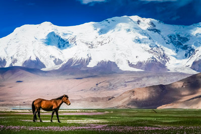 Karakoram Highway