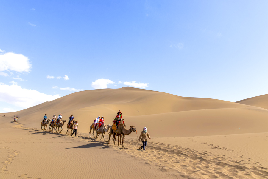 Camel Riding