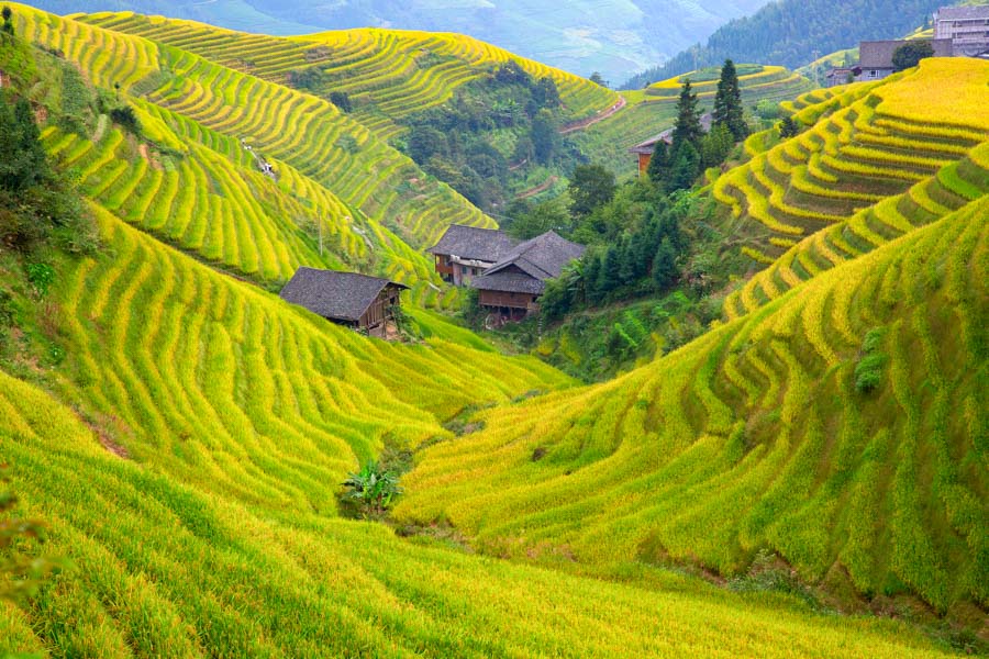Terrazas de arroz de Longji, Guilin