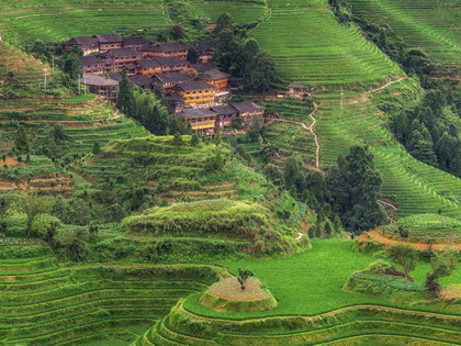 12-day Central China Classic Tour (from Beijing)
