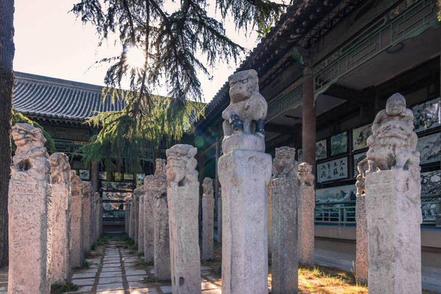 Forest of Stone Steles, Xi’an Museums