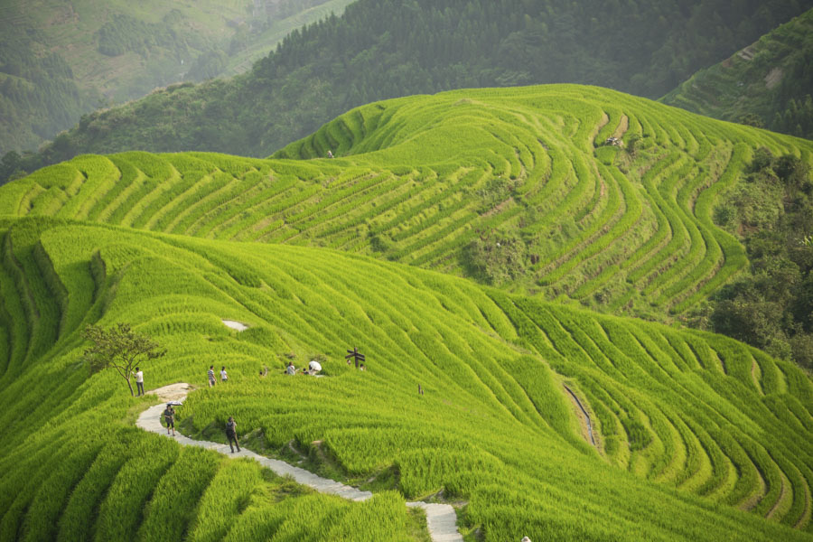 “Nine Dragons and Five Tigers” Viewpoint, Ping’an Zhuang Village