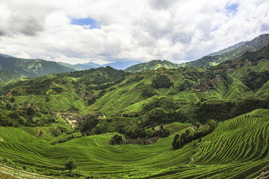 “Golden Buddha Peak” Viewpoint, Dazhai Village