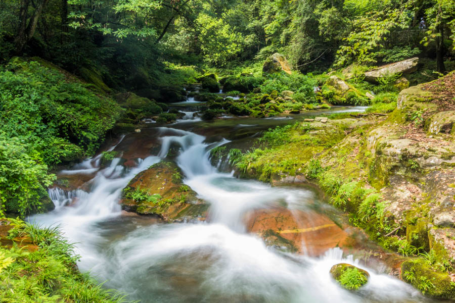 The Golden Whip Stream Trail, Zhangjiajie