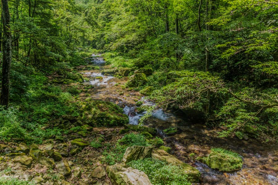 The Golden Whip Stream Trail, Zhangjiajie