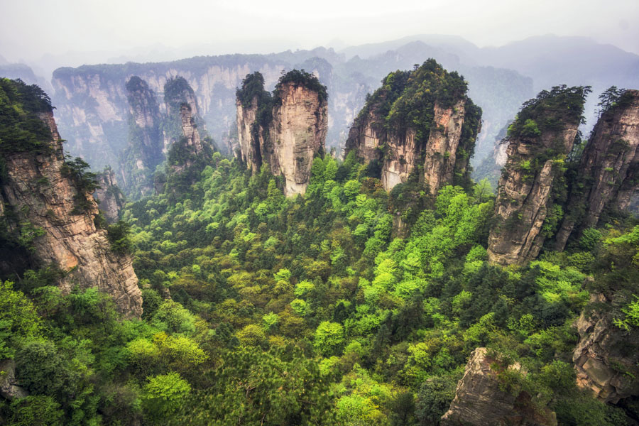 Yuanjiajie Scenic Area, Zhangjiajie