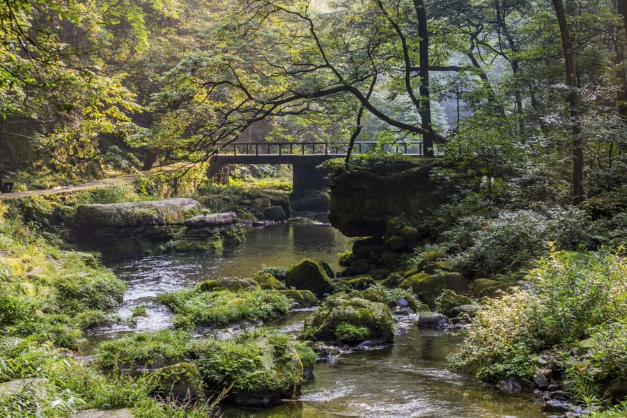 Golden Whip Stream, Zhangjiajie National Forest Park Golden Whip Stream, Zhangjiajie National Forest Park