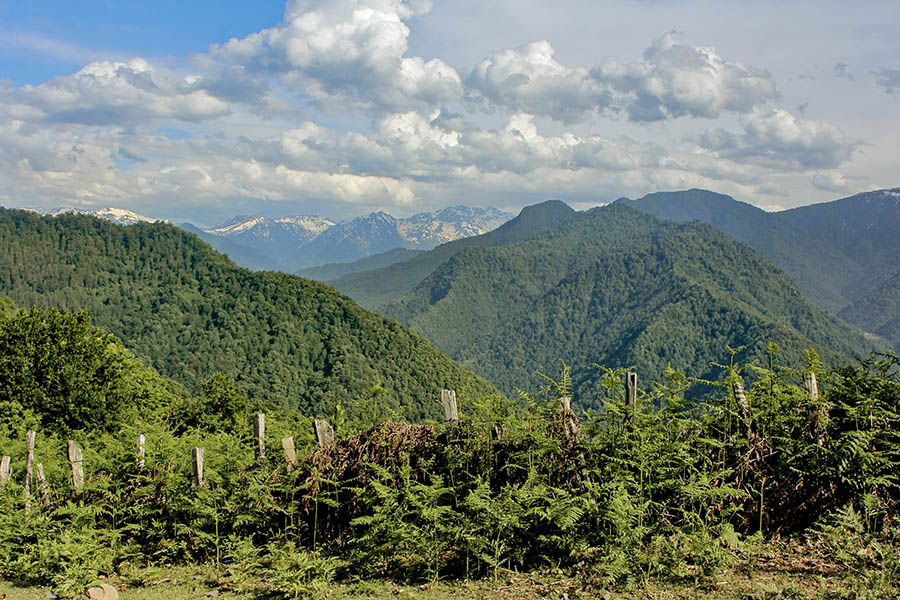 Private Adjara Tours
