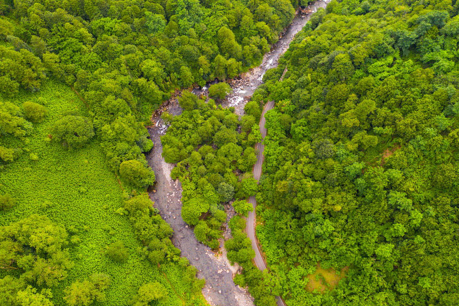 Mtirala National Park in Adjara