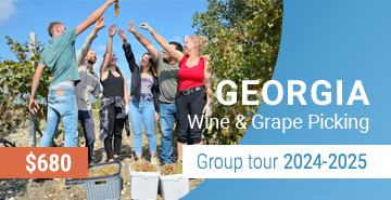 Georgia Wine and Grape Picking Group Tour 2023