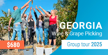 Georgia Wine and Grape Picking Group Tour 2024-2025