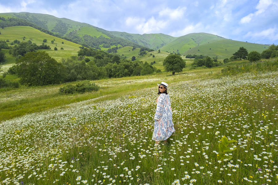 Best Time to Visit Georgia. Dabadzveli in Summer