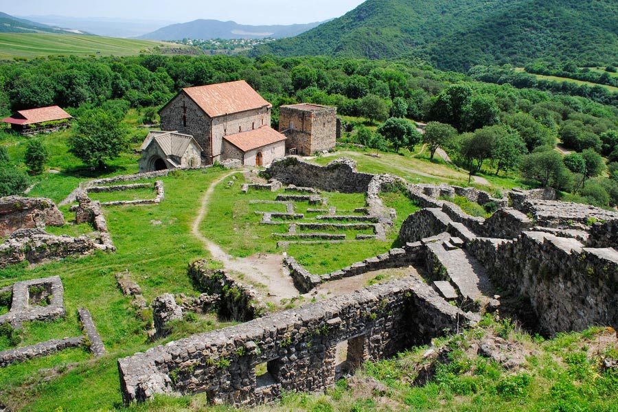Group Tours and Private Dmanisi Trips