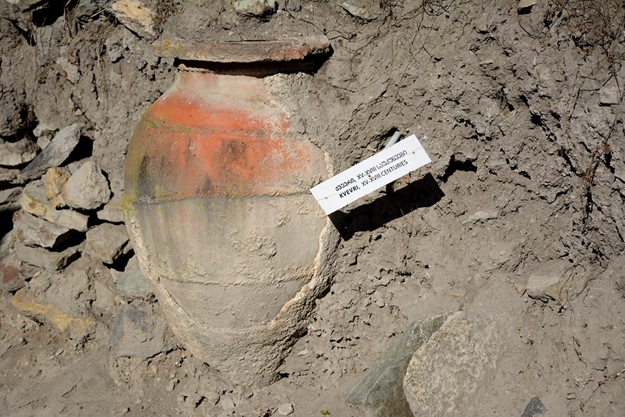 Artifact at Dmanisi