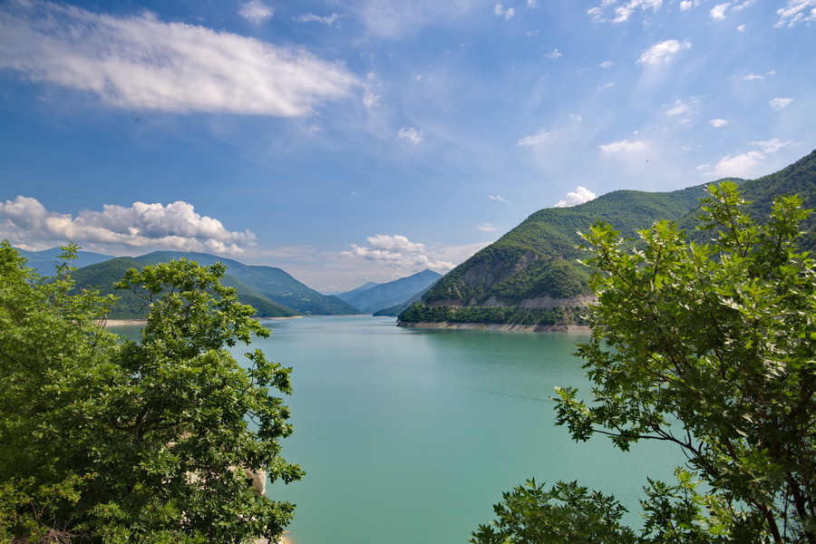 La Increíble Naturaleza de Georgia