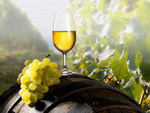 Georgian wine