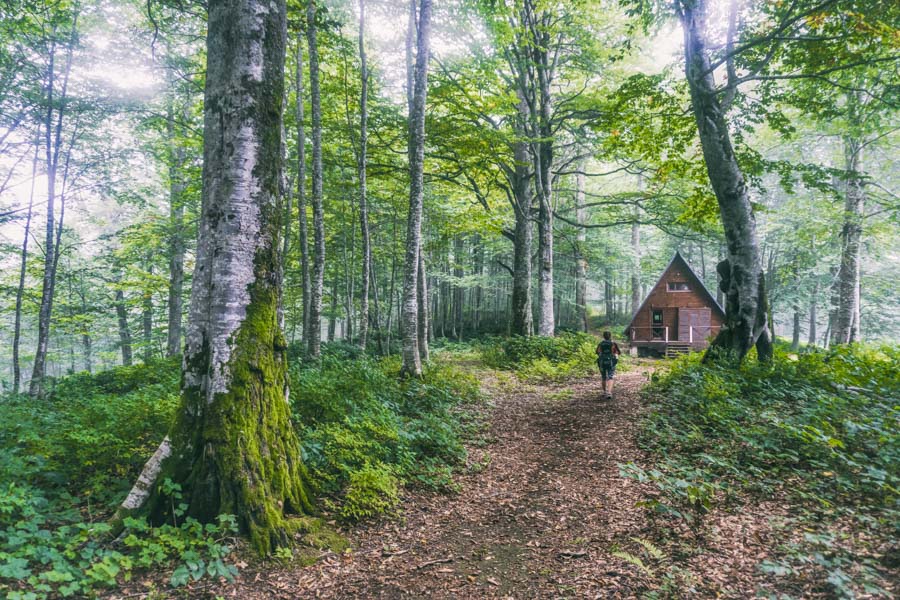 Mtirala National Park, Georgia