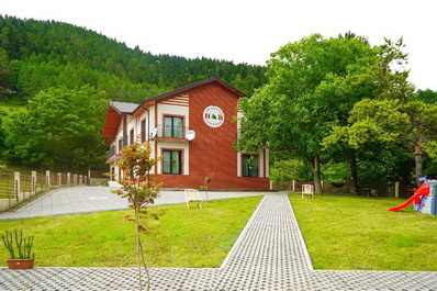 Hotel, Holiday Borjomi Hotel