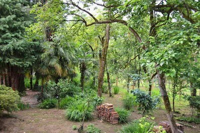 Garden, Menabde Winery Guest House