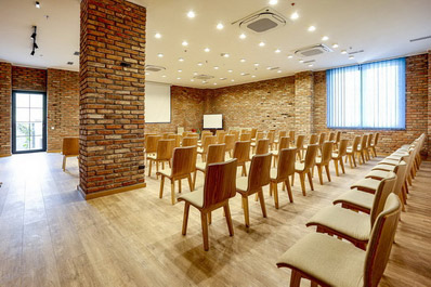 Conference hall, Chateau Artwine Hotel