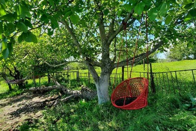 Garden, Melaanian Vintage Guest House