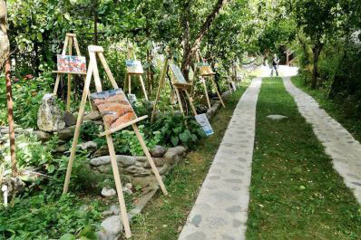 Garden, Gallery Guest House