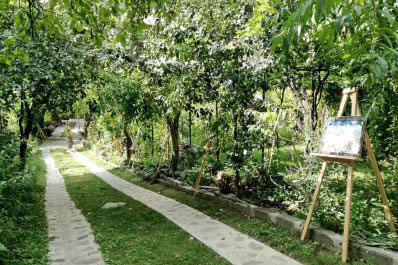 Garden, Gallery Guest House