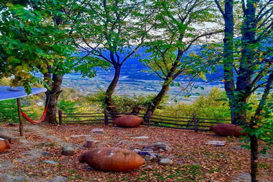 Garden, Wine Space Guest House