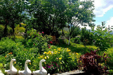 Garden, Horizon Kazbegi Hotel