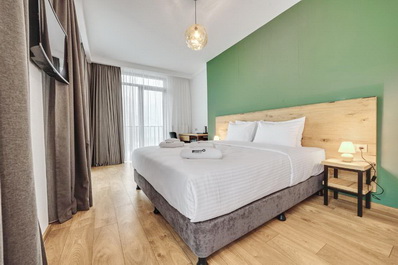 Panorama king room