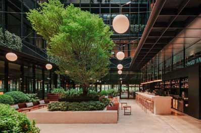 Внутренний двор, Гостиница Telegraph Hotel